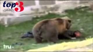 Top 3 Worst Bear Attacks in History