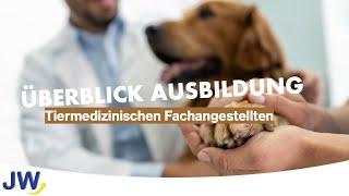 Die Ausbildung zum Tiermedizinischen Fachangestellten im Überblick!