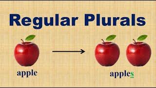 Regular Plural Nouns