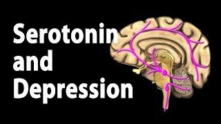 Serotonin and Treatments for Depression, Animation.