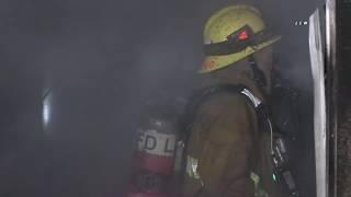 House Fire Kills Two Pet Dogs / Echo Park  1.13.20