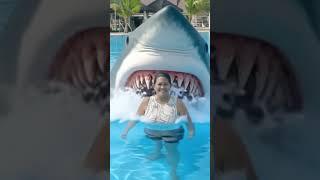 Shark in the pool #shark #ai #swimming