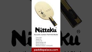Paddle Palace DAILY Special - 02/03/23