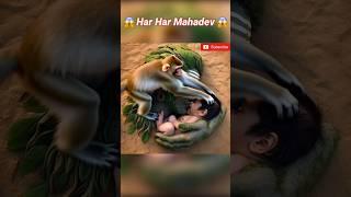 HAR HAR MAHADEV TRENDING SHORT #mahadev #harharmahadev #mahakal #shorts #youtubeshorts #ytshorts 