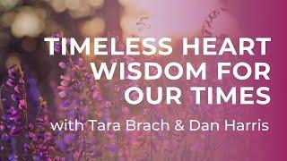 Timeless Heart Wisdom for our Times with Tara Brach & Dan Harris