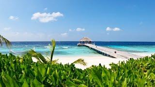 Ten days in the Maldives | Kudafushi Island