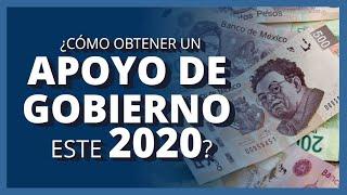 ¿CÓMO OBTENER UN APOYO DE GOBIERNO ESTE 2020?| APOYOS DE GOBIERNO 2020