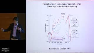 Computational Neuroscience of Elemental Cognition (2) - Stanislas Dehaene (2018-2019)