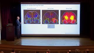 Matteo Carandini, UCL: Testing the textbook model of brain function