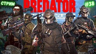 Predator Hunting Grounds  СТРИМ #38 #predator