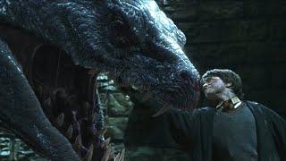 Harry Potter vs Basilisk inside chamber of secrets | Harry Potter and the Chamber of Secrets