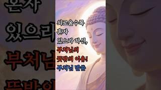외로울수록 혼자 있으라 하신, 부처님의 뜻밖의 이유! #부처님말씀 #불교명상
