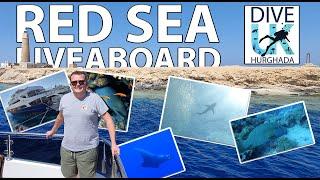 RED SEA SCUBA DIVING LIVEABOARD (Brothers Island, Dedalus Reef, Elphinstone Reef & Marsha Shoda)