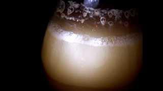 Making mead - cote des blancs yeast