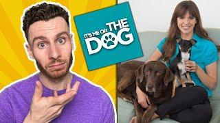 What's ACTUALLY Happening On "It's Me or the Dog" | dog trainer reacts