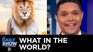 What in the World? | The Daily Show