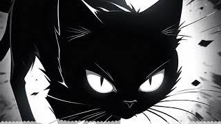 Chin Flow CFX - Black Cat (Slowed+Reverb)