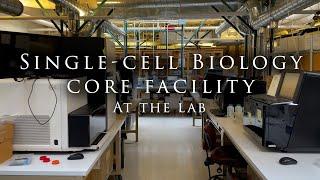 Single-cell Biology Core Facility At the lab