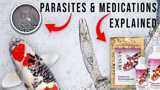 Ultimate Guide to Koi Parasites and Medication with Ricky Stoddart