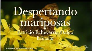 DESPERTANDO MARIPOSAS  Patricio Echeverría Dalgo