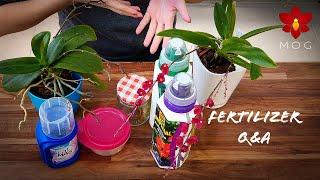 Orchid Fertilizers Q&A | All you need to know.. almost 