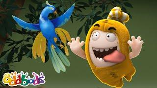 Bird Watching | Oddbods Full Episode | Funny Cartoons for Kids