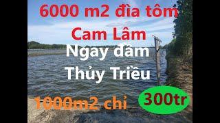 Đất ven đầm Thủy Triều, Cam Lâm, Khánh Hòa.Chỉ 300tr/sào//SĐT 0707265009