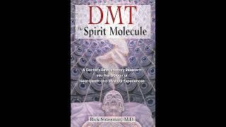 Dmt TSM Dr RS 02 720p