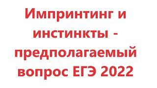 Импринтинг и инстинкты - предполагаемый вопрос ЕГЭ по биологии 2022