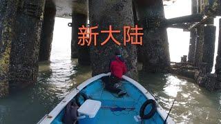 阿宝发现新大陆，没钓到鱼也不能空手而回。搞点海螺犒劳一下自己