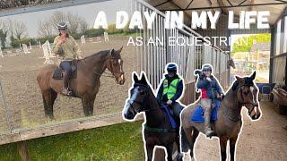 DAY IN THE LIFE | Amateur Equestrian | Juggling Work and Four Horses 