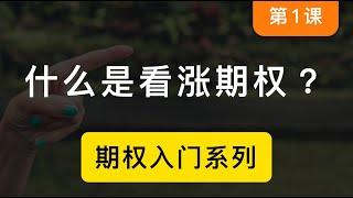 「期权第一课」什么是看涨期权？美股期权和比特币期权交易原理，适合小白的期权入门课程