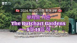  2024 캐나다 가든 투어 3부  부차드 가든 The Butchart Gardens  Victoria Island, Canada 05. 13일 하