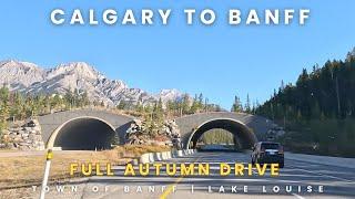 ROAD TRIP from CALGARY to BANFF: Full Autumn Drive #drive #calgary #banff #lakelouise