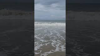 Waves of Life: High Tides, White Bubbles, and Silent Lessons