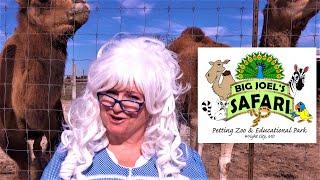 Learning about Animals at Big Joel's Safari | Educational Video for kids with Granny McDonald