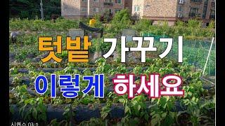 주말농장 텃밭 이렇게 가꾸세요/ 왕초보도 이영상보시면 주말농장 텃밭가꾸기 전문가 될수있다. 농작물가꾸기/ 주말농장/ 도시텃밭