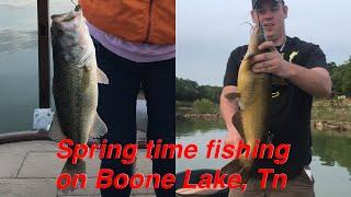 Fishing Boone lake TN mid spring 2020