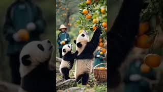 panda's journey |ai video| short |cartoon | panda | funny video | anoop's entertainment