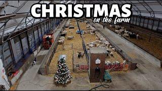 Die Weihnachtszeit ist DA!!...auf (und RAUS AUS) der FARM!! VLOGMAS 2024 (14)