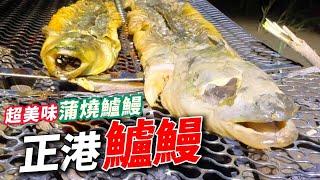 釣魚系列｜野外釣鱸鰻/現烤蒲燒鱸鰻～超想配飯！