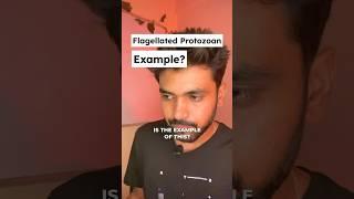 NEET 2024 Biological Classification Most Predicted Questions| (pt-5) #neet