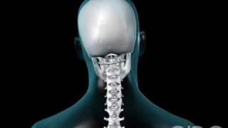 Neck Movement - 3D Medical Animation || ABP ©