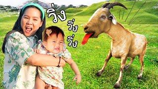 ช่วยด้วยโดนแพะไล่ | แม่เฟิร์นน้องเฟย์ลิน ไปเที่ยวสวนสัตว์