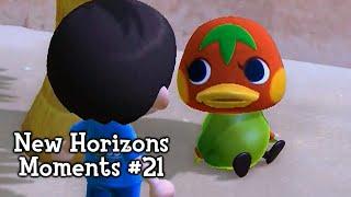 New Horizons Moments #21 (Animal Crossing)