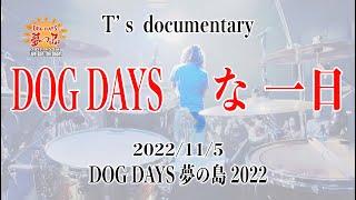 DOG DAYSな一日（DOG DAYS 夢の島 2022 documentary）