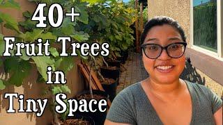 How I Fit 40+ Fruit Trees, Raised Beds, and a Container Garden in Less Than 2000 Square Feet