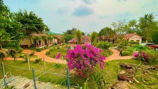 Quá Bất Ngờ Với Vẻ Đẹp Daisy Resort Phú Quốc 2023 Giá Siêu Rẻ Khu Viên Đồi Núi Đẹp Mê Hồn