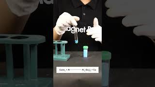  Displacement Reaction Experiment  #shorts #magnetbrains