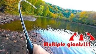 Doesn't get any better than this!!! | Smallmouth | Walleye | Magnum Fluke | Bank fishing |